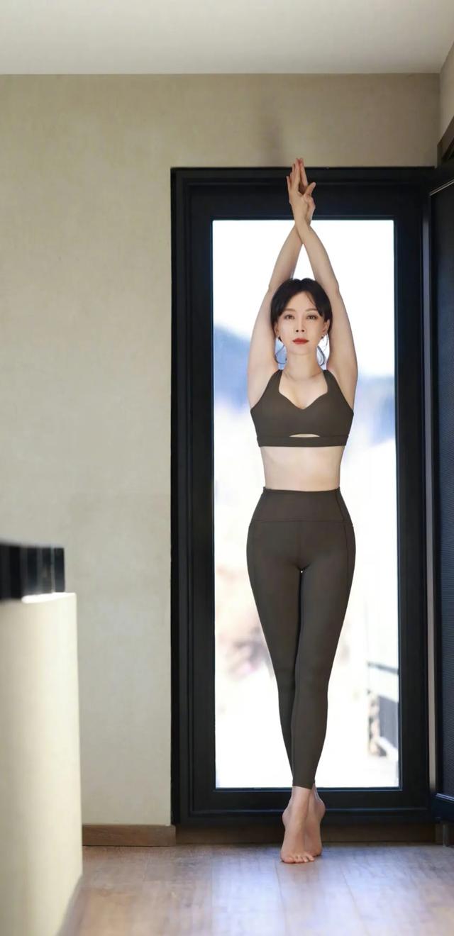 知性美在陈数身上体现的淋漓尽致，优雅大方知性的女神
