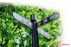 炎热夏季一抹绿！南宁这条路美成一幅画→图片