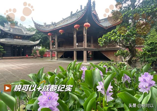 天回镇金华寺：藏在成都闹市的清幽之地，一座古戏台让人惊艳！