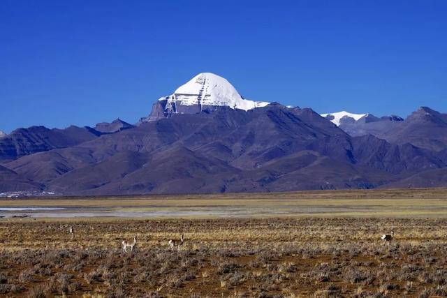 冬季西藏才是天堂！人少景美，雪山湖泊全解锁