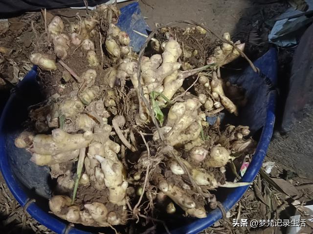 我妈安排的事是我支持的我就会满心欢喜地去做，不支持的就很反感