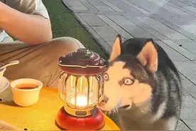 搞笑图文，让你哈哈大笑图片