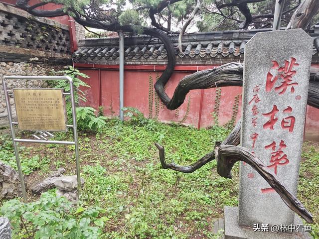 徒步登泰山之一——3小时从一天门到中天门