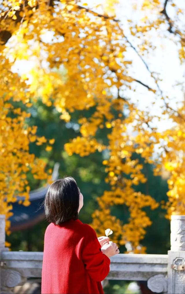 江阴版“西红柿炒蛋”，上线了！