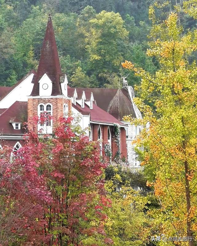 成都彭州的魔幻彩林，都不要门票！壮观、唯美、浪漫，无不惊艳！