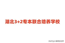 湖北3+2专本联合培养学校名单和录取分数线（2024参考）图片