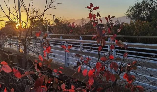 冬之伊始，来潼关寻觅初冬色彩