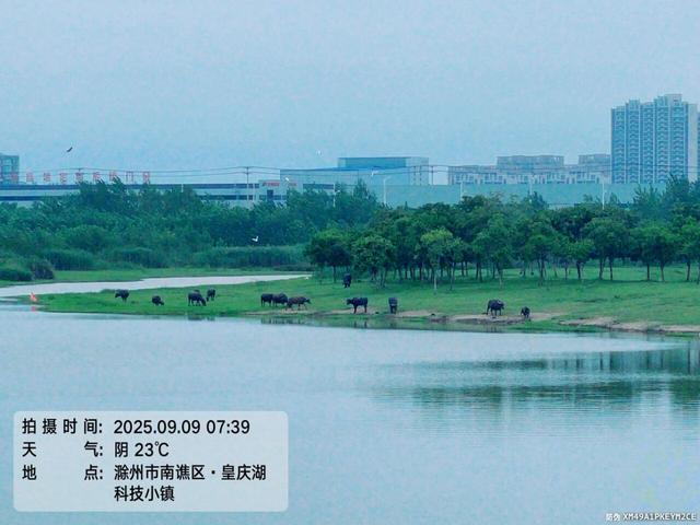骑游滁州西神山寺森林公园花山风景线