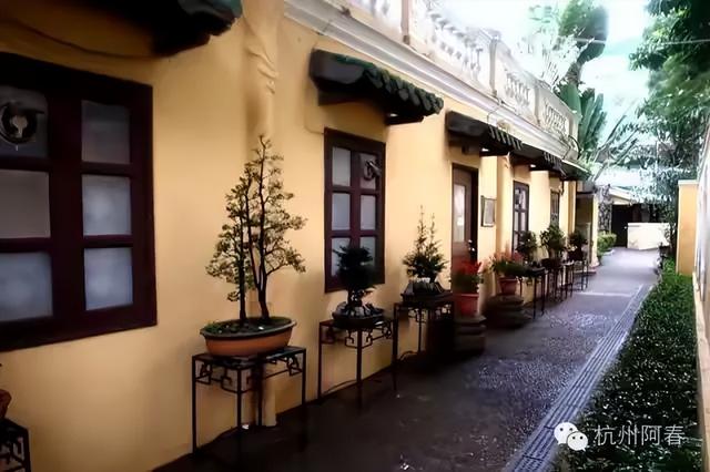 我喜欢的那片澳门老城区 …