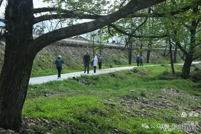 藏于浙江5A景区内有一处“十里铁甲龙”，洞穴众多形态奇特