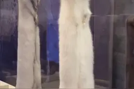 不是我的错，却让我背锅？栽赃陷害的背后，是谁在制造罪恶平摊？图片