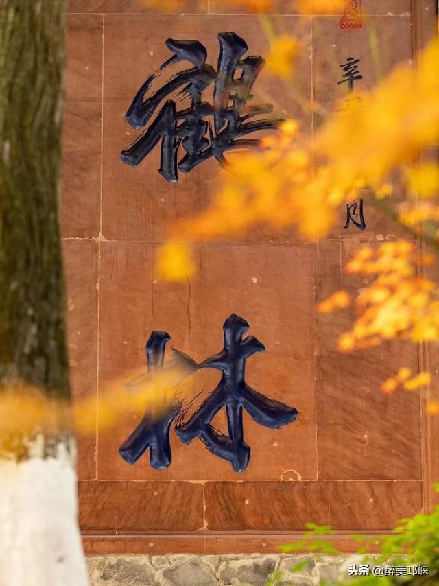 聆听邛崃丨徒步白鹤山