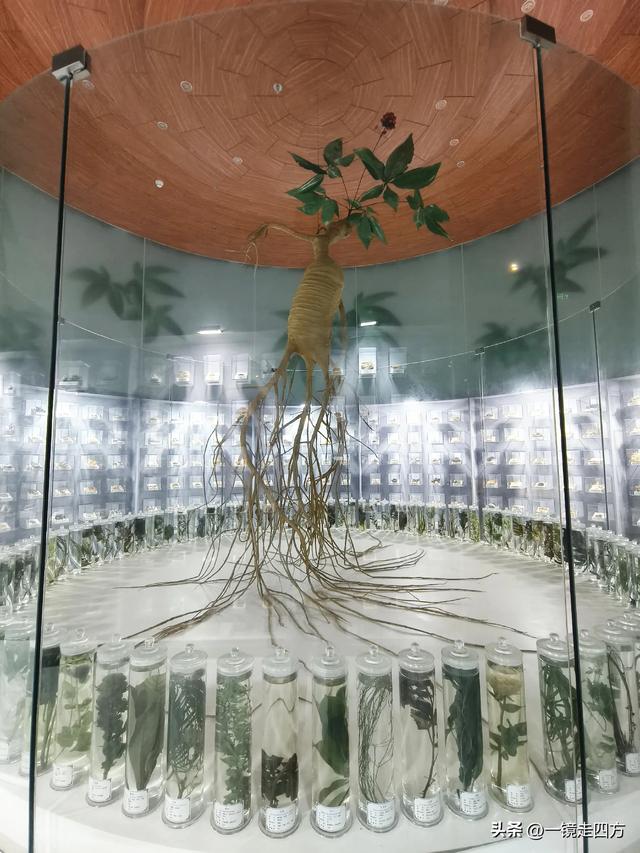 通化市自然博物馆
