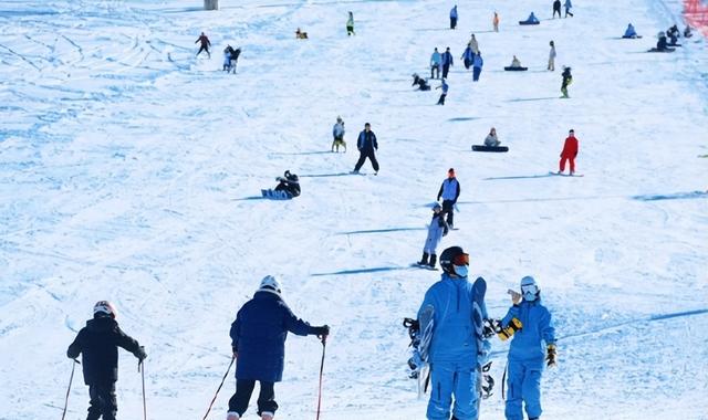 新疆11月27日资讯