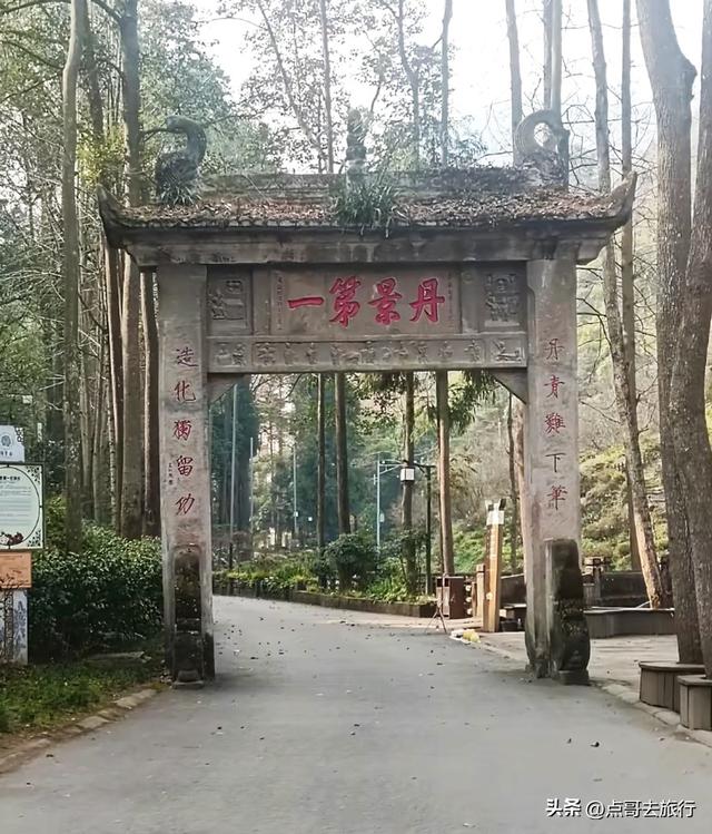 成都最大的山谷梅花开了，被称为蜀中第一赏梅胜地，却少人知道！