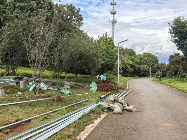 秀北山森林公园改造施工中！大理将添浪漫新地标
