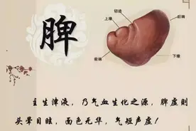 万病归于脾胃虚！脾胃虚弱七大症状，如何应对，一文说清楚！图片