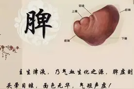 万病归于脾胃虚！脾胃虚弱七大症状，如何应对，一文说清楚！图片