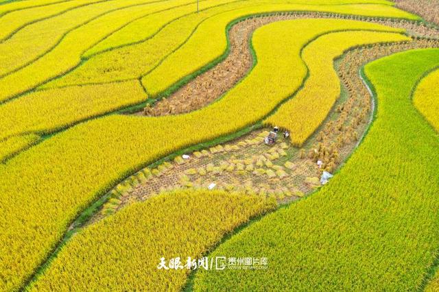 夏日爆火后，秋天的贵州还有这些宝藏等你解锁！