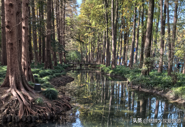 @所有人，杭州秋冬“顶级公园”发力了，绝美如画，出片100%