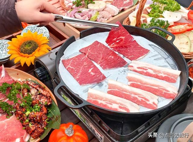 成都市区最大免费露营地，可以烧烤、烤肉，公共交通可到达！