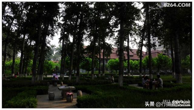 山东行游影记（14）—济南山东大学（一）