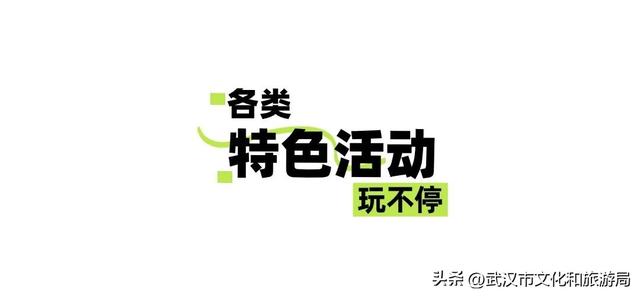 赏花正当时｜万花齐放！武汉这片金色进入最佳观赏期！