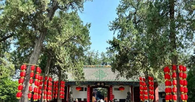 北京没料到，西安也没料到，如今的洛阳，怎么就成大家爱去的地方