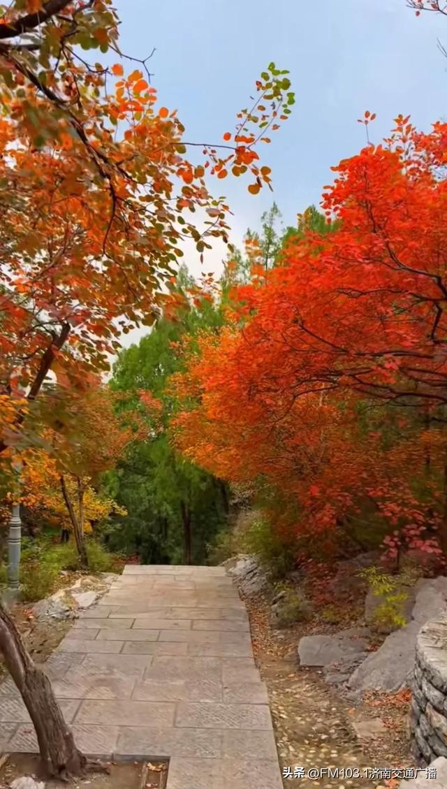 公园景区秋色图鉴，这几处必打卡