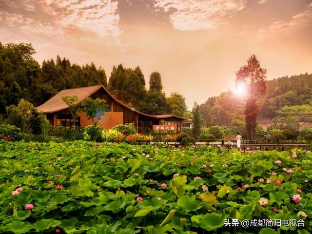 邀您跨年!荷桥“村糖”奇旅上线→