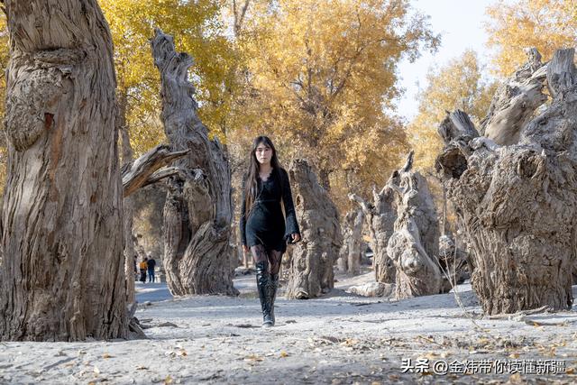 新疆阿瓦提县第二届金胡杨节“胡杨公主”评选演绎美丽动人故事