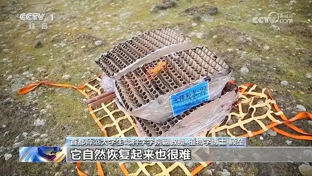 雪山“升龙”烟花后，全网吵翻天，当地人在默默捡垃圾！