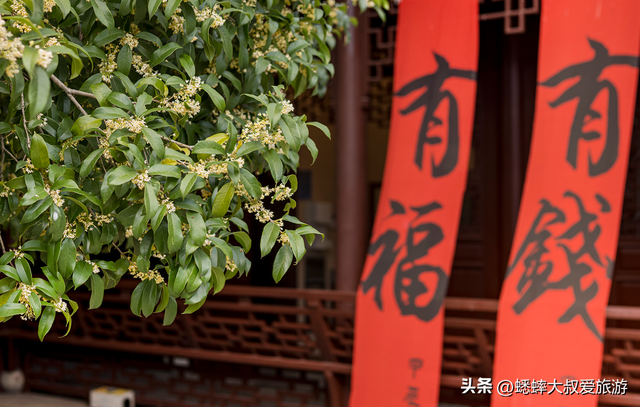 快来杭州一趟高雅之行吧，六大桂花秘境进度达70%，满城尽是香味