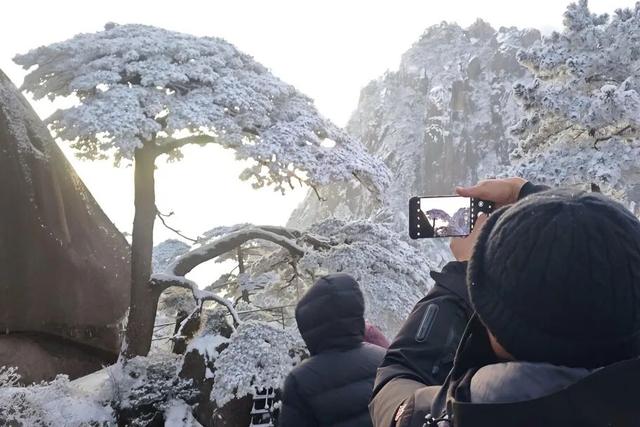 急！黄山冬雪美景即将抵达！准备好迎接仙境了吗？