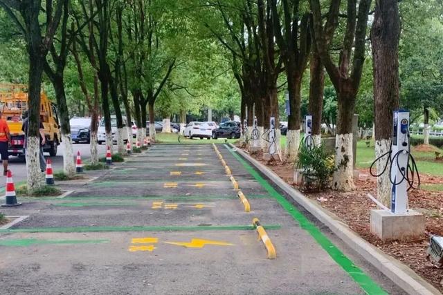 宠你！ta是认真的！