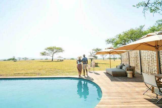 非洲坦桑尼亚8天7晚野奢之旅,乘越野车Safari,看动物大迁徙!