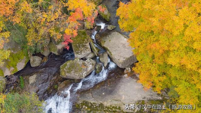 多图实拍！这才是汉中的秋日顶流！