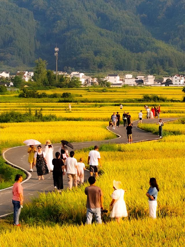 黟县秋日藏诗意！治愈所有疲惫~ | 超级皖黄山市争霸赛等你来战 | 皖美秋日
