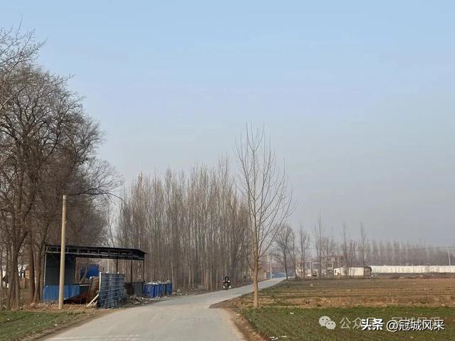 冠县乡韵·清水镇后井寨村