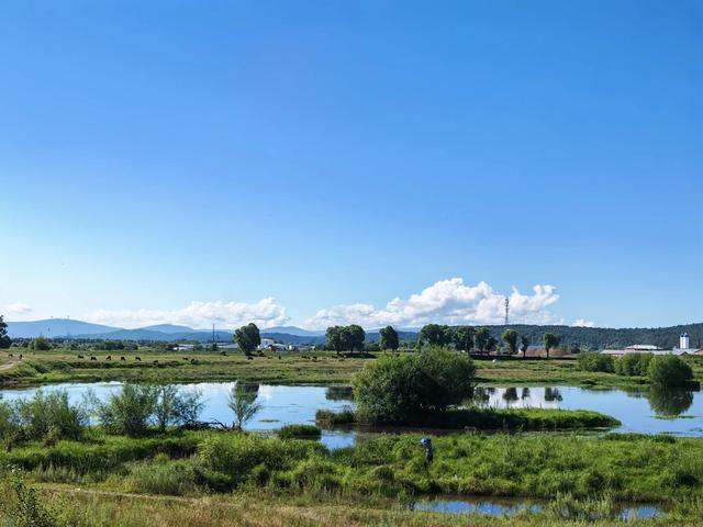 坐15路公交从伊春去友好区
