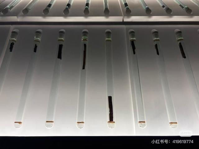 来临沂吧！看汉墓、读兵书、感风骨、探东夷，解码琅琊名仕的精神