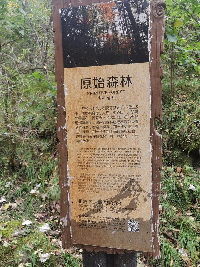 迷失黄柏塬
