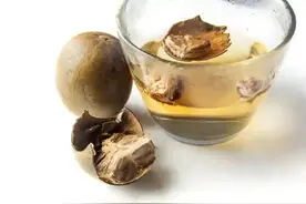 中药罗汉果泡水喝，清热生津，提神醒脑！图片