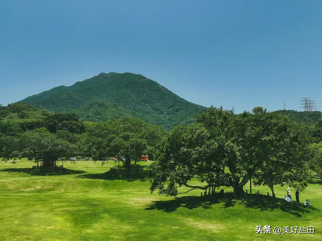 在深圳，散步才是正经事～