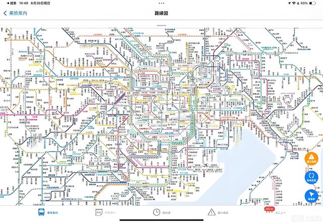 当真菌构建出于城市地铁相同的网络时，人类应该反思什么是智能