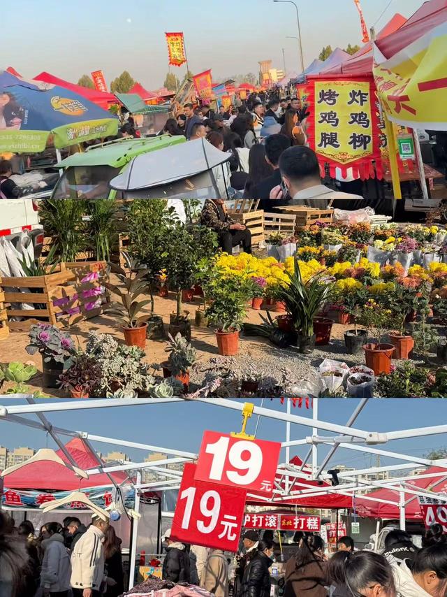 来看看！被央媒、知名媒体报道，众多名人网红打卡的临沂有哪些宝藏！