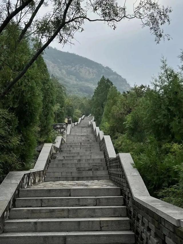 邯郸峰峰，北响堂山石窟笔记，被偷盗的佛窟和嗜血暴虐的北齐故事