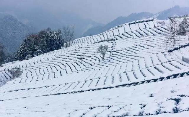 “最怕小雪是晴天”，今日小雪，小雪晴有啥预兆？