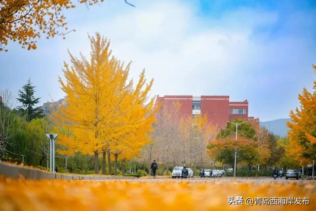 走不出这画了,我已被西海岸的秋景迷倒 🥹