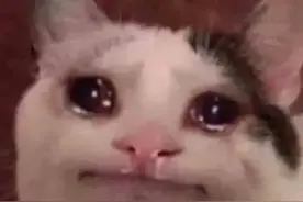 突发！荣耀上市图片